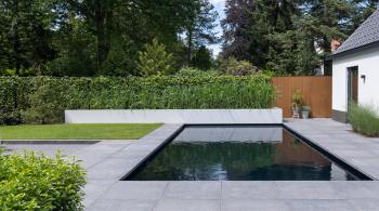Natuur zwembad in moderne tuin