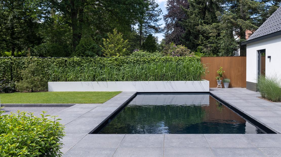 Natuur zwembad in moderne tuin